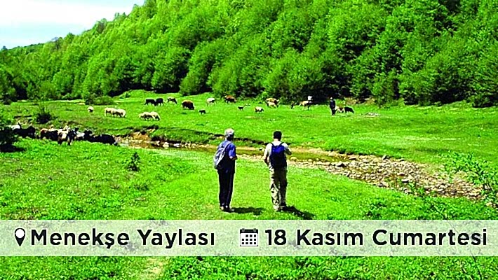 Menekşe Yaylası Doğa Yürüyüşü - İZMİT-18 Kasım 2017, Cumartesi