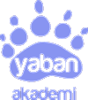 Yaban Akademi