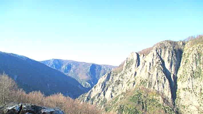 Aytepe - Menekşe