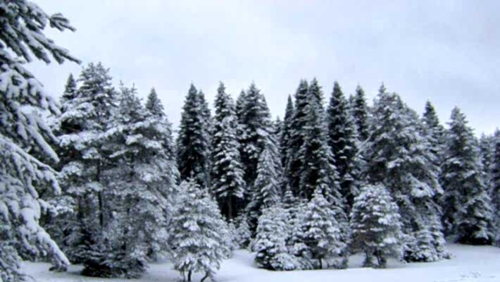 Kungul - Aytepe