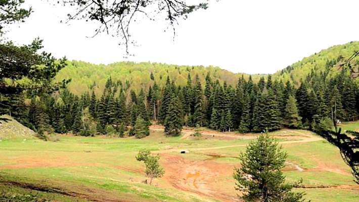 Sultaniye - Altıoluk Yaylası - Sultaniye