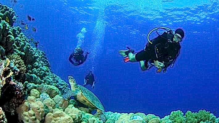 PADİ Dalıcı Eğitimi